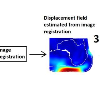 quantification of strains in biaxially tested soft tissues|Soft tissue strain measurement .